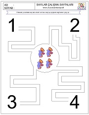 okul öncesi Doğru Sayıya Çiz